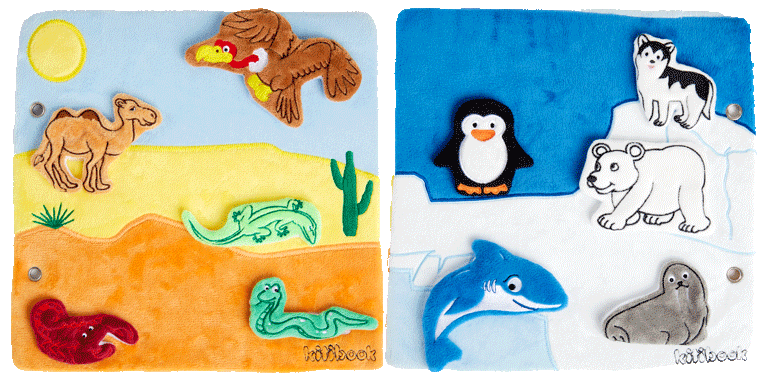 Animaux - Désert et Banquise