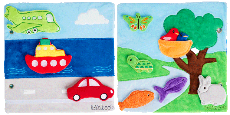 Cadre Spatial et Transport