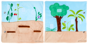 Fruits et légumes - vierge